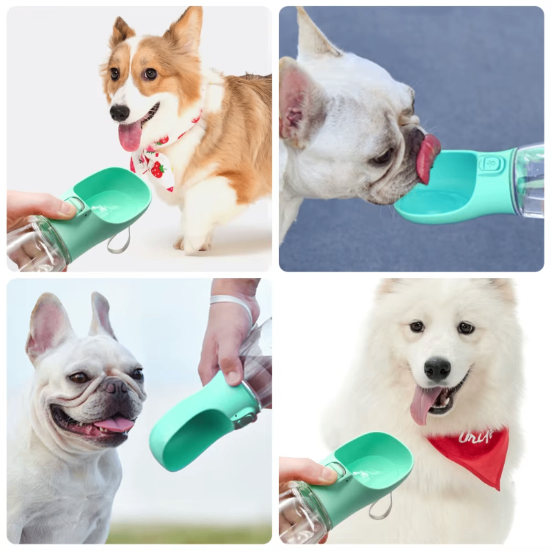 PawsHydrate™ Trinkflasche für Haustiere